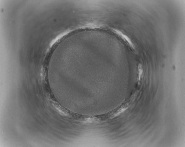 X0000087521160200705111959