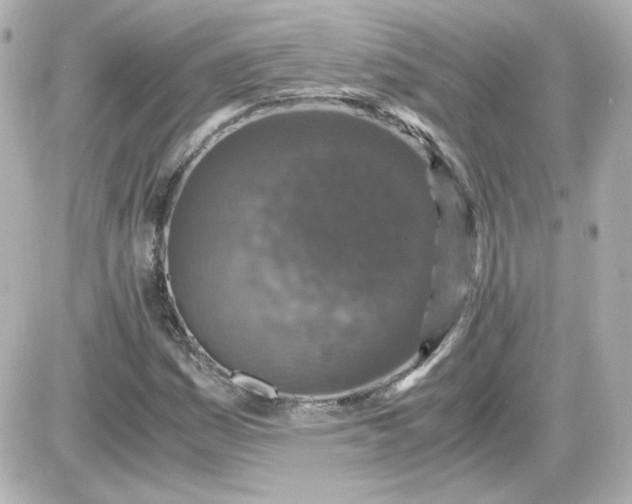 X0000087521161200705111959