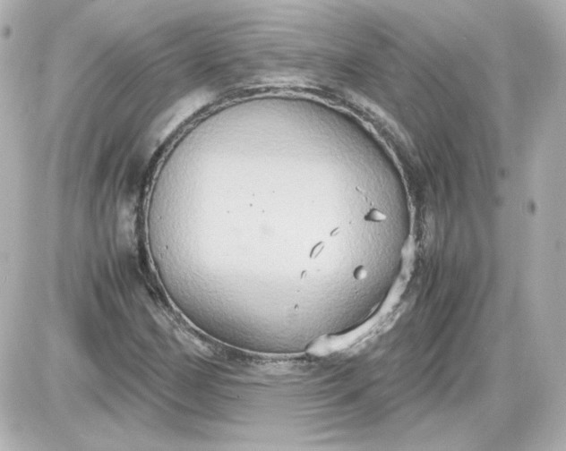 X0000087521162200705111959