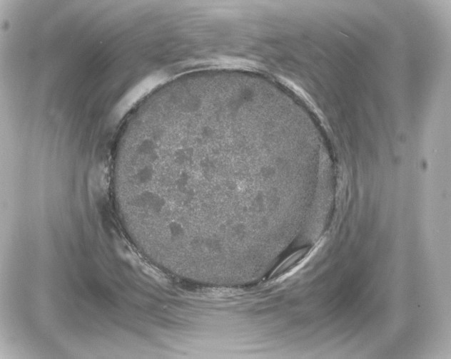 X0000087521163200705111959