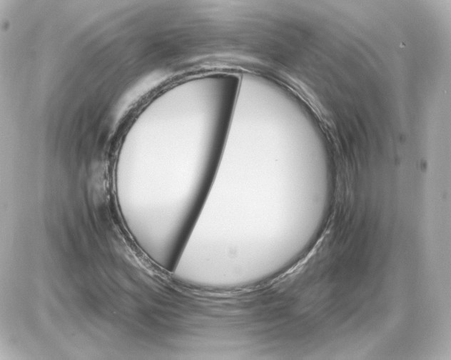 X0000087521164200705111959