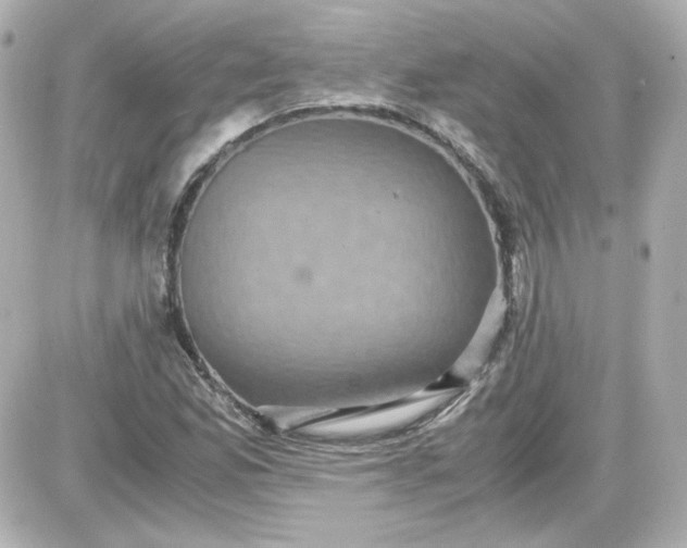 X0000087521165200705111959