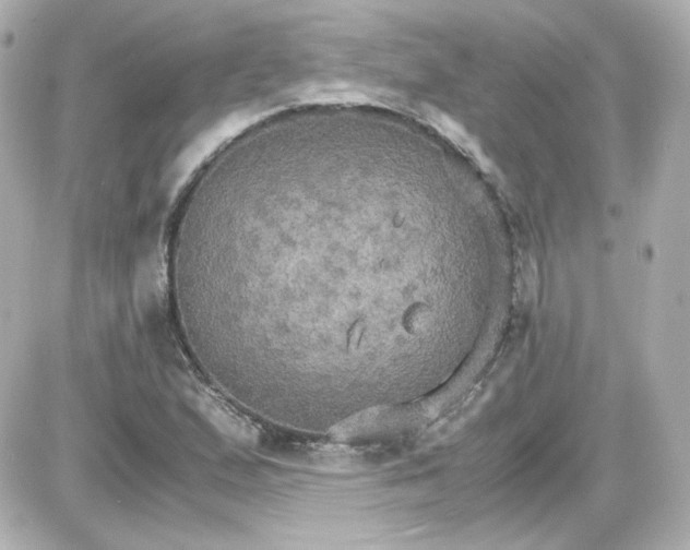 X0000087521167200705111959