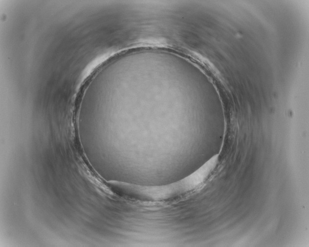 X0000087521168200705111959