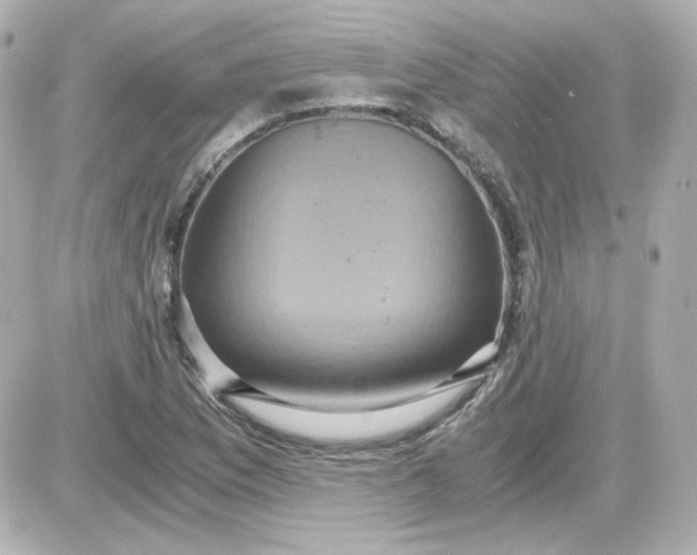 X0000087521169200705111959