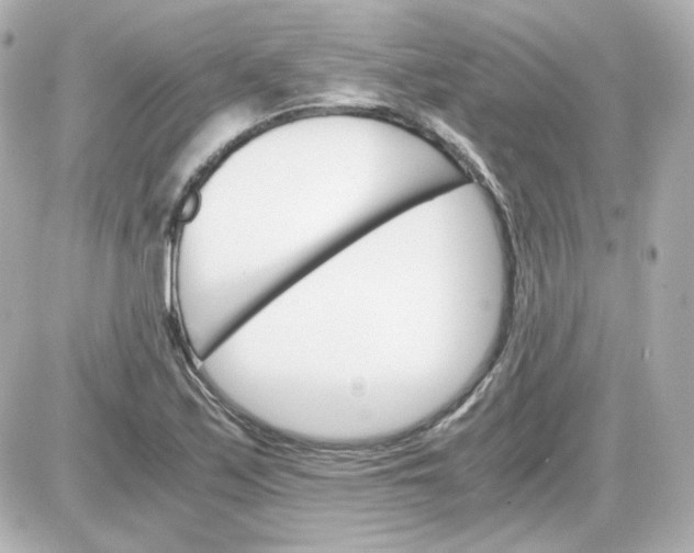 X0000087521171200705111959