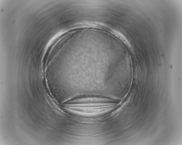 X0000087521172200705111959