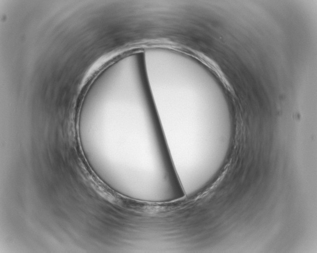 X0000087521176200705111959