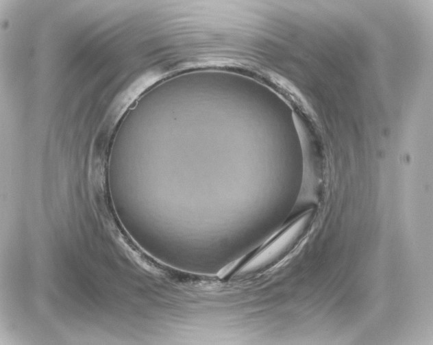 X0000087521177200705111959