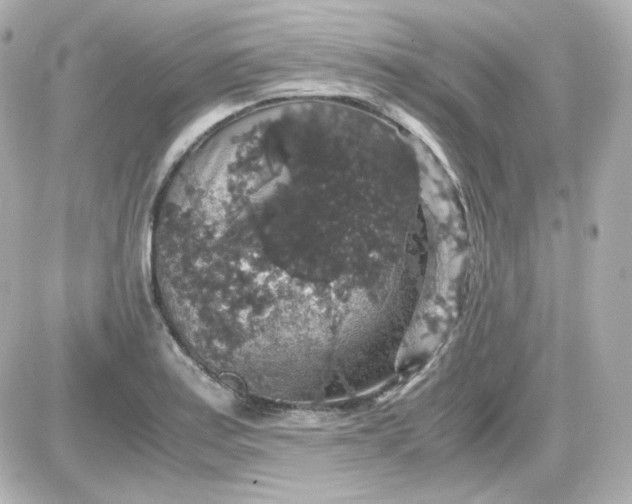 X0000087521179200705111959