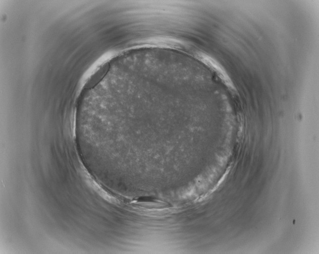 X0000087521180200705111959