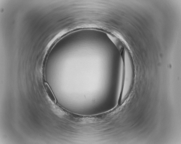 X0000087521181200705111959