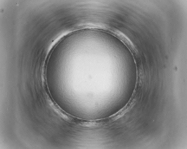 X0000087521182200705111959