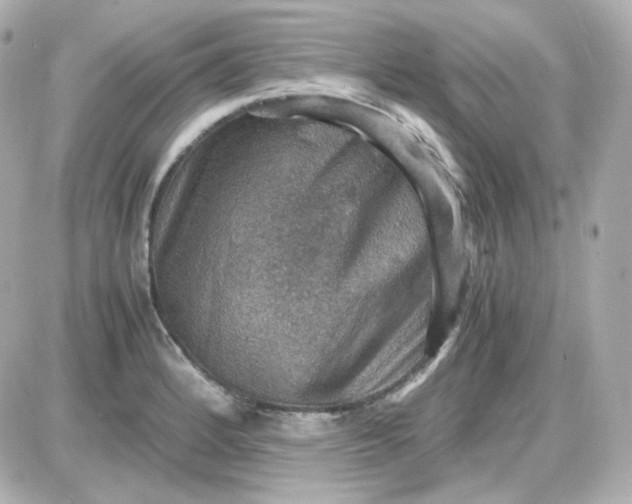 X0000087521184200705111959