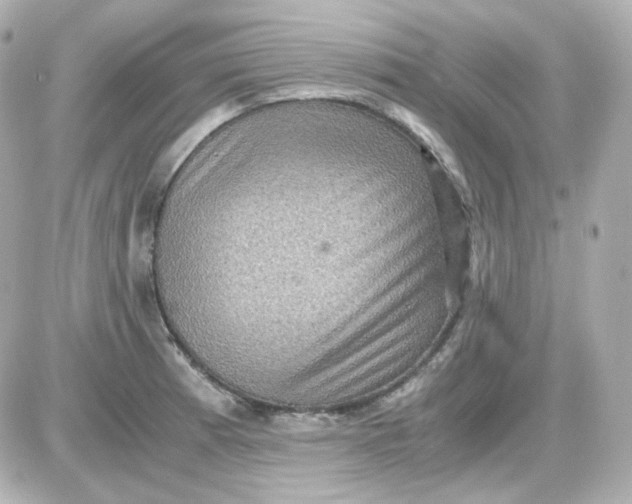 X0000087521185200705111959