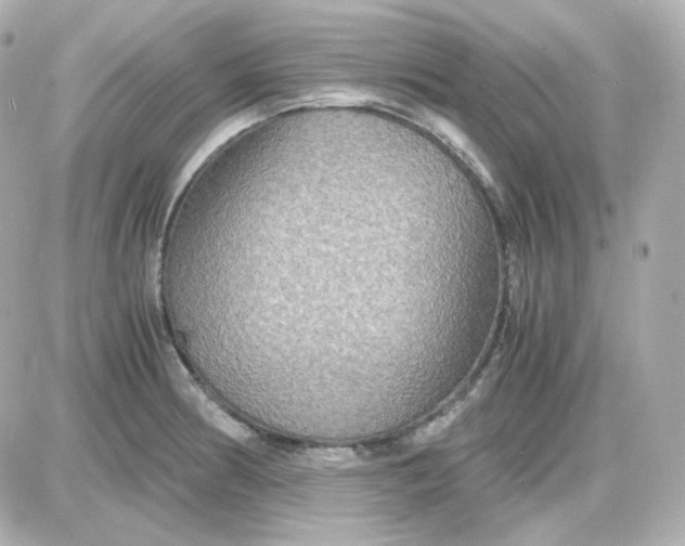 X0000087521186200705111958