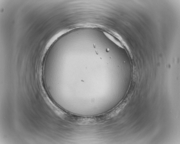 X0000087521187200705111958