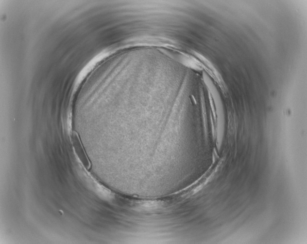 X0000087521188200705111958