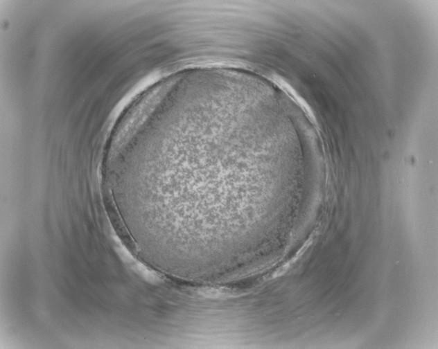 X0000087521189200705111958