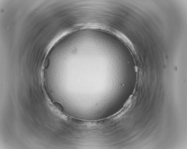 X0000087521190200705111958