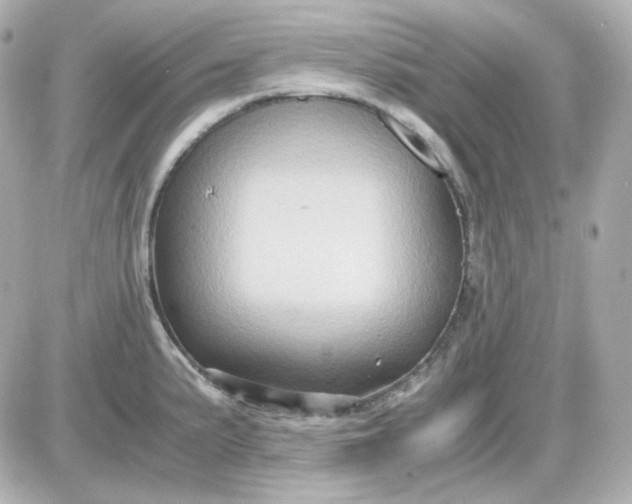 X0000087521191200705111958