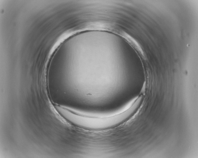 X0000087521192200705111958