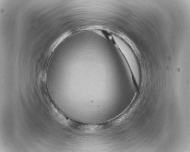 X0000087521193200705111958