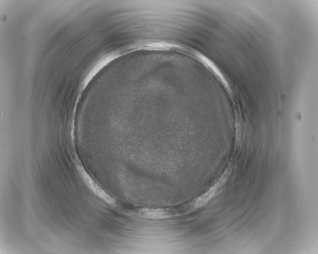 X0000087521194200705111958