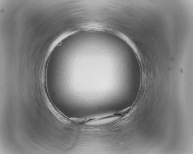 X0000087521195200705111958