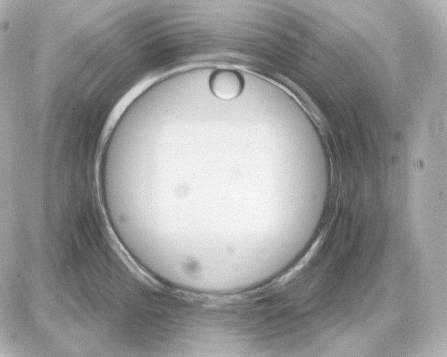 X0000087521196200705111958