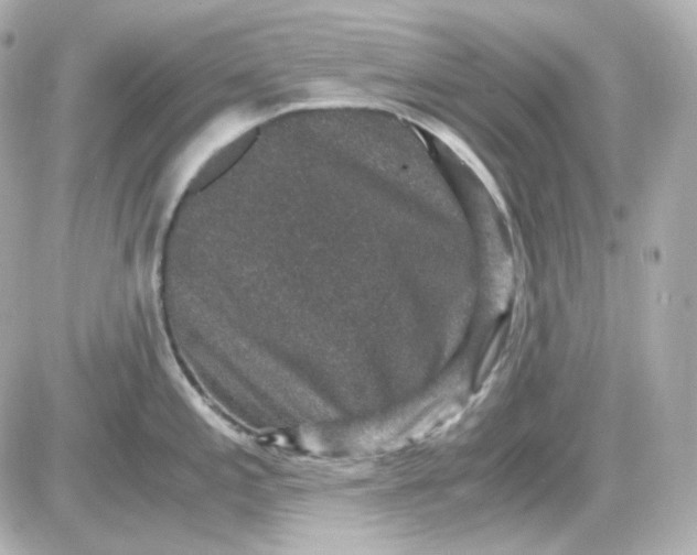 X0000087521197200705111958