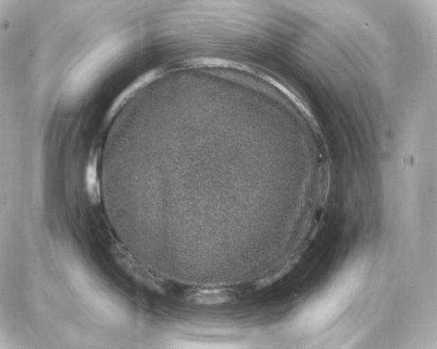 X0000087521198200705111958