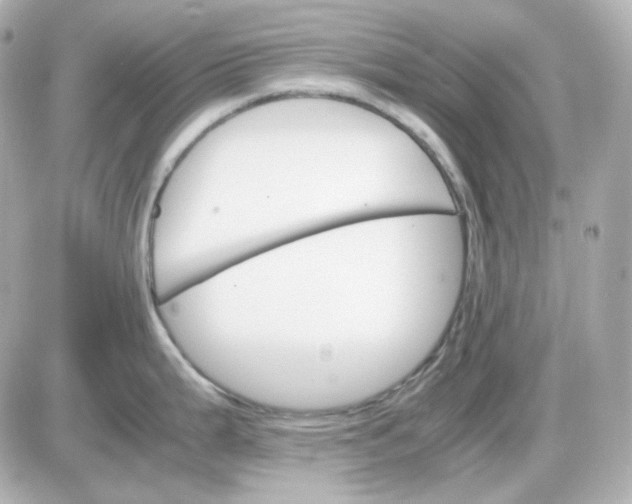 X0000087521199200705111958