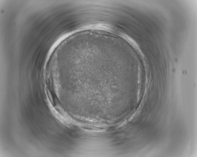 X0000087521200200705111958