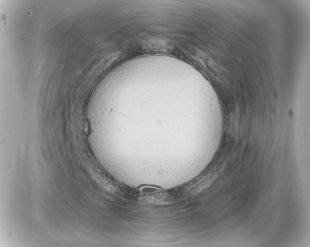 X0000087521201200705111957