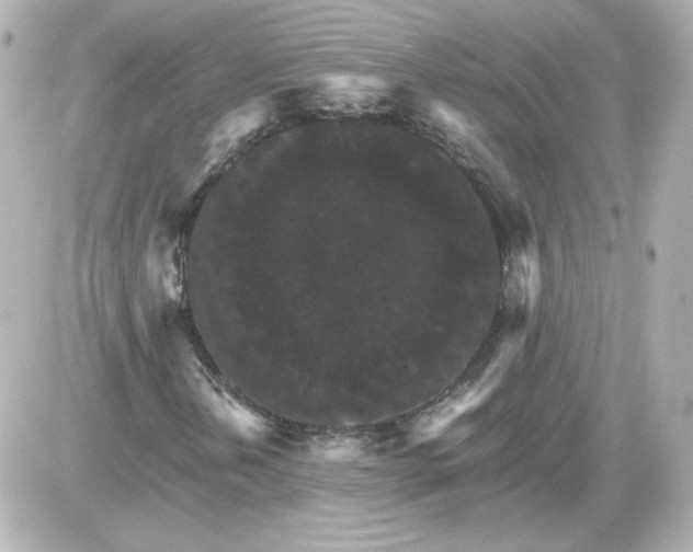 X0000087521202200705111958