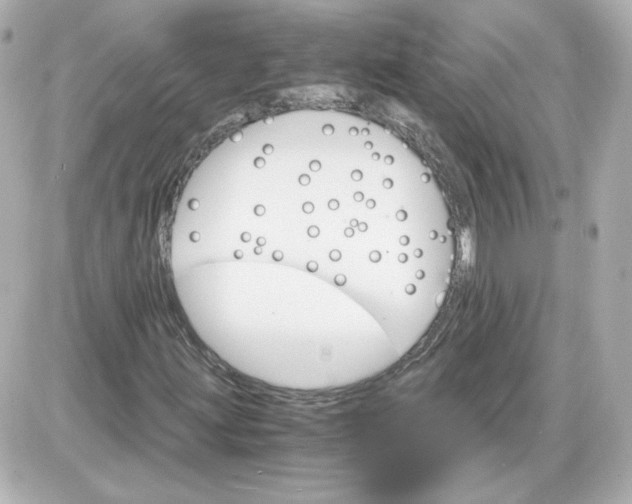 X0000087521203200705111958