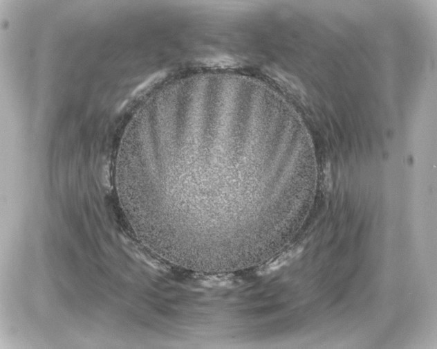 X0000087521205200705111958