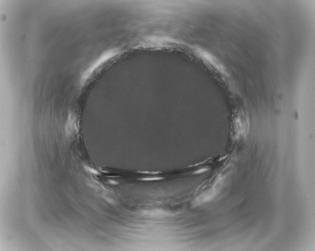 X0000087521206200705111958