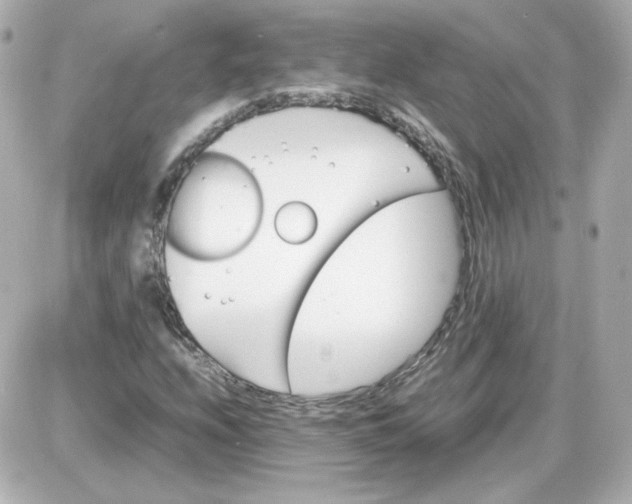 X0000087521208200705111958