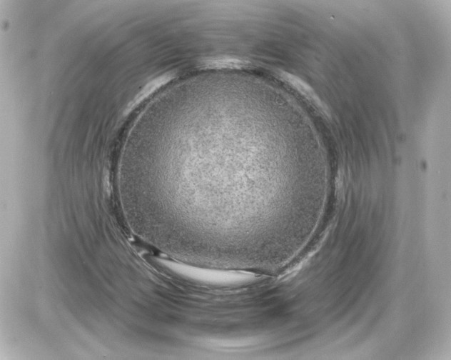 X0000087521209200705111958