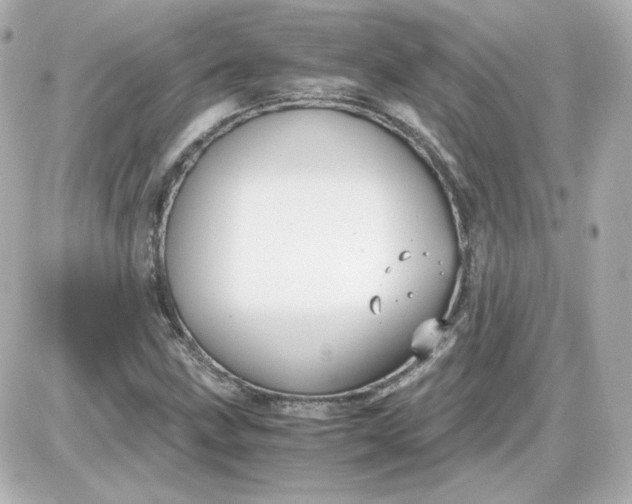 X0000087521211200705111958