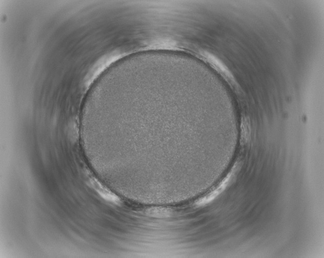 X0000087521212200705111958