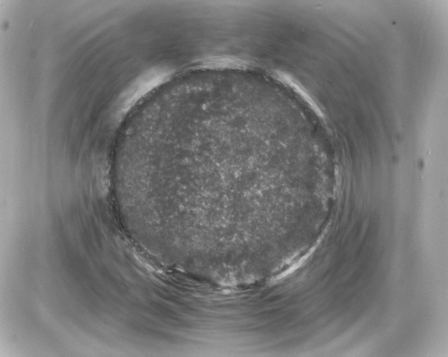 X0000087521213200705111958