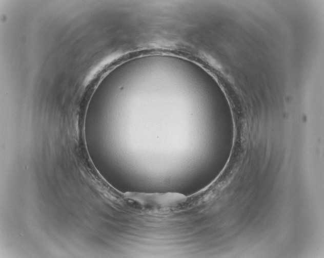 X0000087521214200705111958