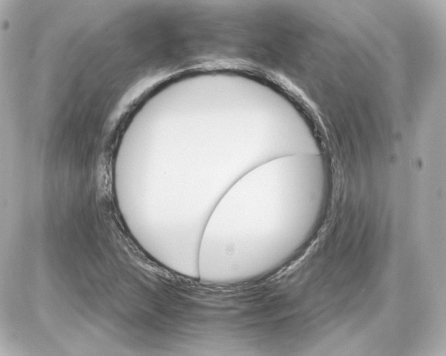 X0000087521215200705111958