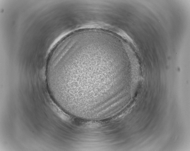 X0000087521216200705111958