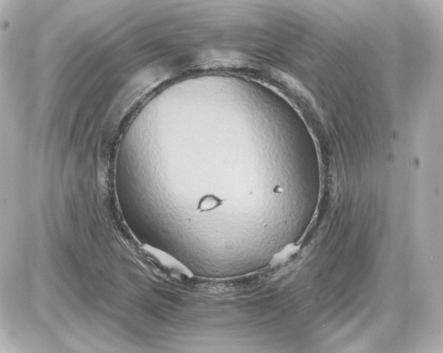 X0000087521217200705111958