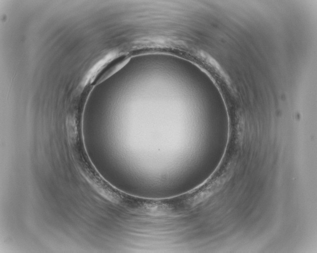 X0000087521218200705111958