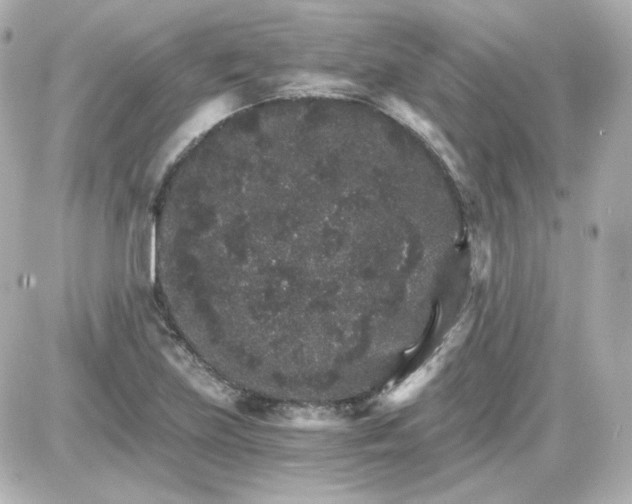 X0000087521219200705111958